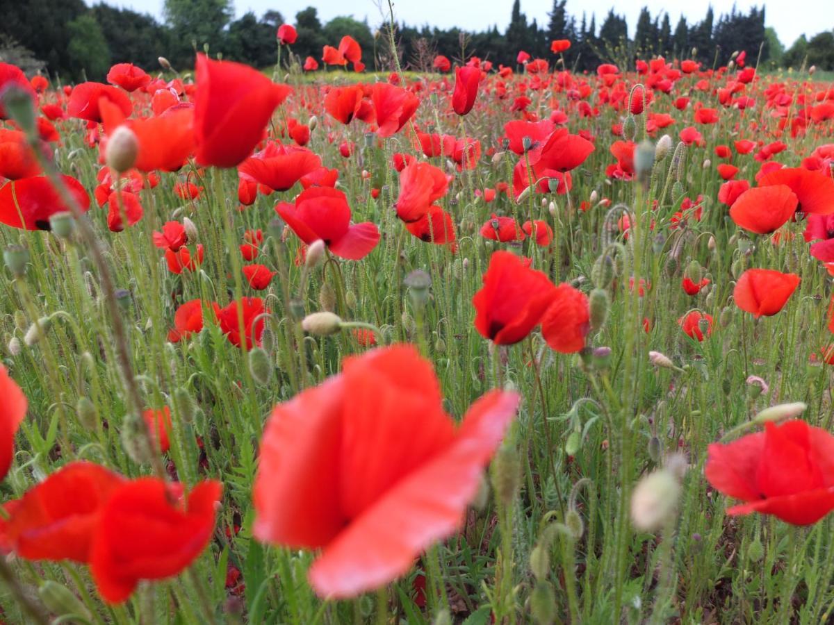 Arles Bienvenue Bed and Breakfast Εξωτερικό φωτογραφία